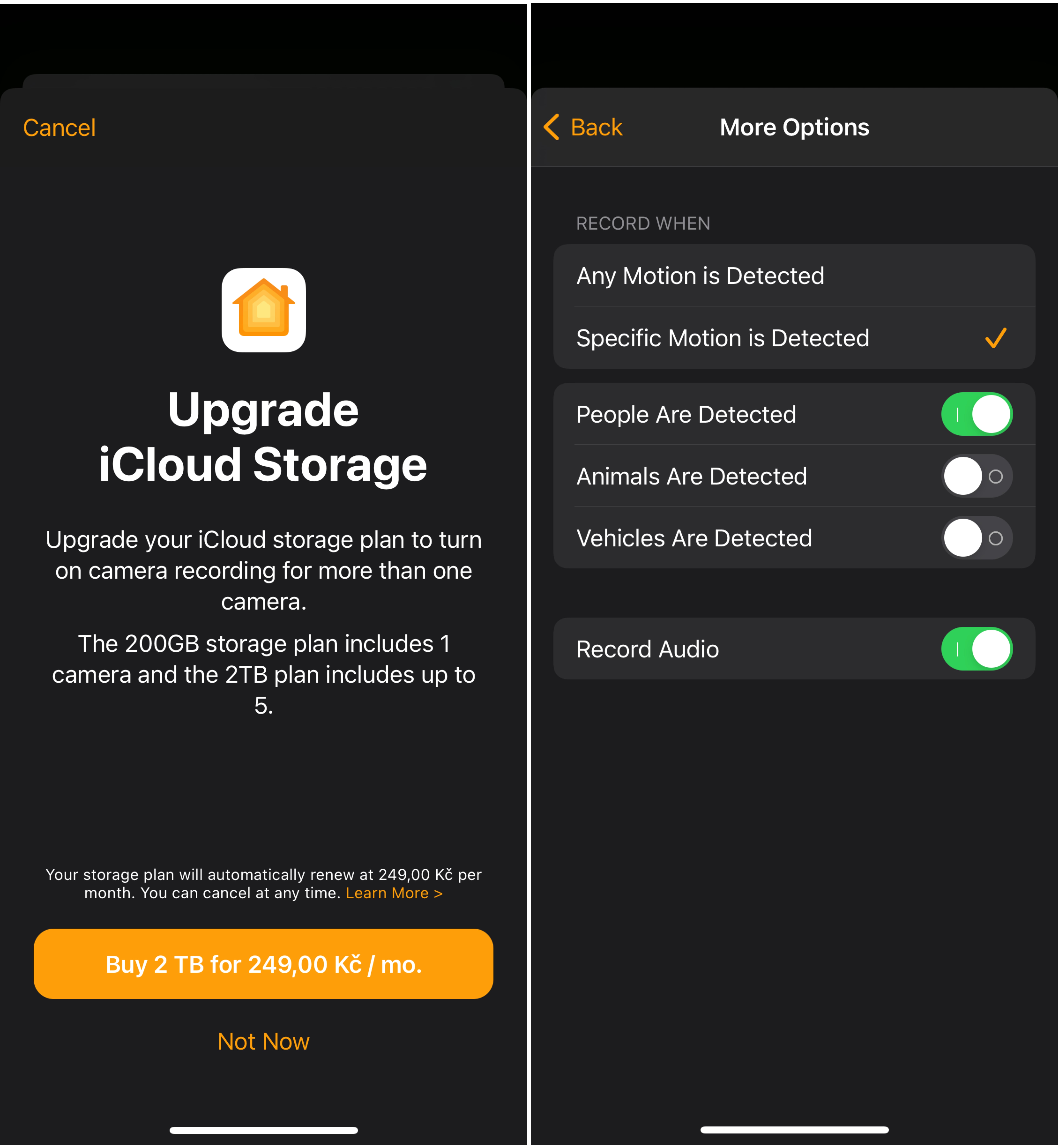 iCloud Upgrade